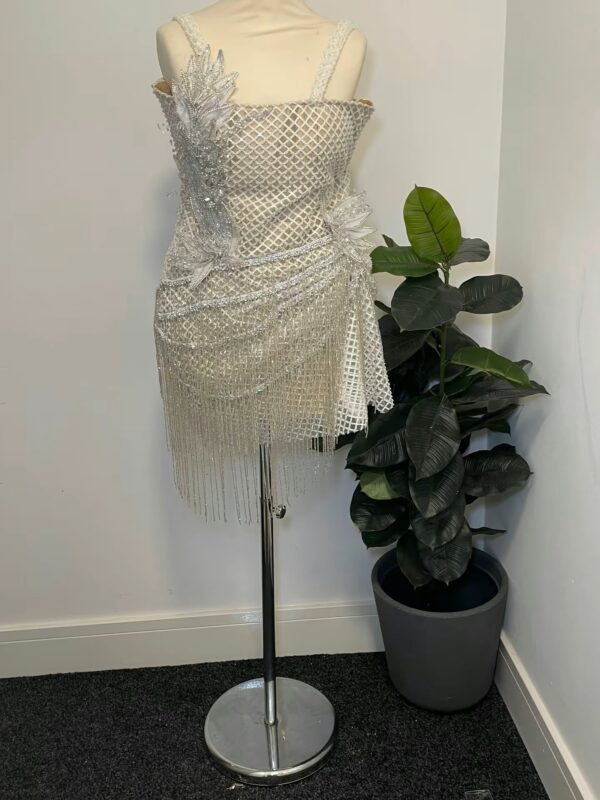 The Silver Cascade Party Dress